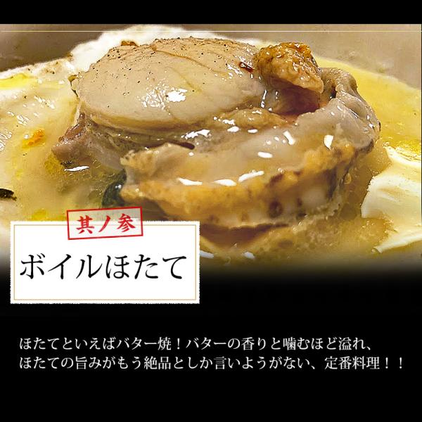 海鮮バーベキューセット 4種 20品 約3人前 BBQ 冷凍 【海鮮/バーベキュー/キャンプ/海鮮焼き/鉄板焼き/食材/魚/海産物/鍋/海鮮鍋セット/海鮮セット/寄せ鍋/ホームパーティー/お取り寄せ】【赤えび/エビ/海老/かき/カキ/牡蠣/ボイルほたて/ホタテ/帆立/イカ/いか】