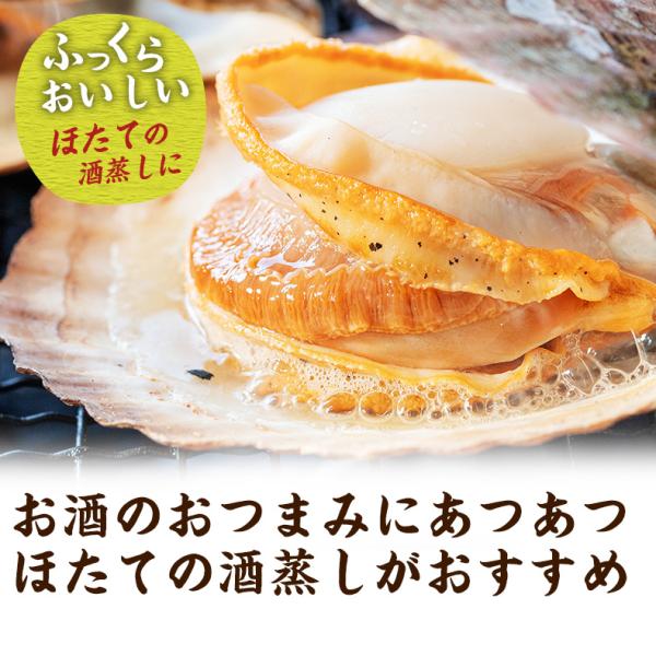 海鮮バーベキューセット 2種 20品 約4～5人前 BBQ 冷凍 【海鮮/バーベキュー/キャンプ/海鮮焼き/鉄板焼き/食材/魚/貝/海産物/鍋/海鮮鍋セット/海鮮セット/寄せ鍋/ホームパーティー/お取り寄せ】【赤えび/エビ/海老/ほたて/ホタテ/帆立/殻付き】