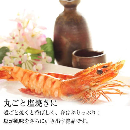 海鮮バーベキューセット 2種 20品 約4～5人前 BBQ 冷凍 【海鮮/バーベキュー/キャンプ/海鮮焼き/鉄板焼き/食材/魚/貝/海産物/鍋/海鮮鍋セット/海鮮セット/寄せ鍋/ホームパーティー/お取り寄せ】【赤えび/エビ/海老/ほたて/ホタテ/帆立/殻付き】