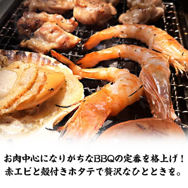 海鮮バーベキューセット 2種 20品 約4～5人前 BBQ 冷凍 【海鮮/バーベキュー/キャンプ/海鮮焼き/鉄板焼き/食材/魚/貝/海産物/鍋/海鮮鍋セット/海鮮セット/寄せ鍋/ホームパーティー/お取り寄せ】【赤えび/エビ/海老/ほたて/ホタテ/帆立/殻付き】