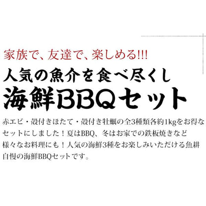 海鮮バーベキューセット 3種 合計約3kg BBQ 冷凍 【海鮮/バーベキュー/キャンプ/海鮮焼き/鉄板焼き/食材/魚/貝/海産物/鍋/海鮮鍋セット/海鮮セット/寄せ鍋/ホームパーティー/お取り寄せ】【赤えび/エビ/海老/ほたて/ホタテ/帆立/殻付き/牡蠣/カキ/カンカン焼き】
