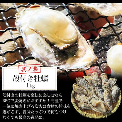 海鮮バーベキューセット 3種 合計約3kg BBQ 冷凍 【海鮮/バーベキュー/キャンプ/海鮮焼き/鉄板焼き/食材/魚/貝/海産物/鍋/海鮮鍋セット/海鮮セット/寄せ鍋/ホームパーティー/お取り寄せ】【赤えび/エビ/海老/ほたて/ホタテ/帆立/殻付き/牡蠣/カキ/カンカン焼き】