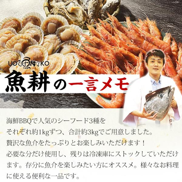 海鮮バーベキューセット 3種 合計約3kg BBQ 冷凍 【海鮮/バーベキュー/キャンプ/海鮮焼き/鉄板焼き/食材/魚/貝/海産物/鍋/海鮮鍋セット/海鮮セット/寄せ鍋/ホームパーティー/お取り寄せ】【赤えび/エビ/海老/ほたて/ホタテ/帆立/殻付き/牡蠣/カキ/カンカン焼き】