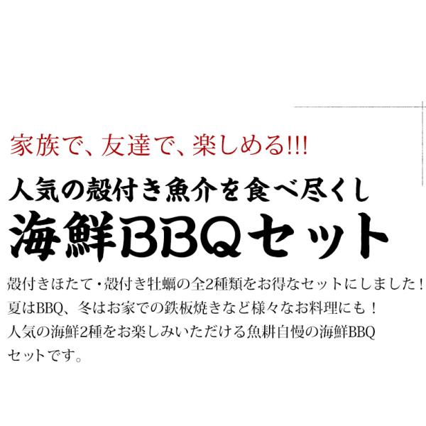 海鮮バーベキュー セット 2種 合計約2kg BBQ 冷凍 【海鮮/バーベキュー/キャンプ/海鮮焼き/鉄板焼き/食材/魚/貝/海産物/鍋/海鮮鍋セット/海鮮セット/寄せ鍋/ホームパーティー/お取り寄せ】 【かき/カキ/牡蠣/ほたて/ホタテ/帆立/殻付き/牡蠣/カキ/カンカン焼き】