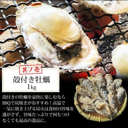 海鮮バーベキュー セット 2種 合計約2kg BBQ 冷凍 【海鮮/バーベキュー/キャンプ/海鮮焼き/鉄板焼き/食材/魚/貝/海産物/鍋/海鮮鍋セット/海鮮セット/寄せ鍋/ホームパーティー/お取り寄せ】 【かき/カキ/牡蠣/ほたて/ホタテ/帆立/殻付き/牡蠣/カキ/カンカン焼き】