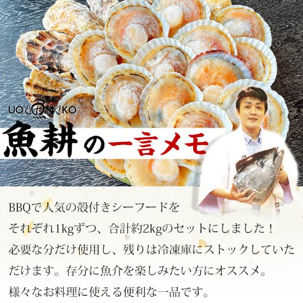 海鮮バーベキュー セット 2種 合計約2kg BBQ 冷凍 【海鮮/バーベキュー/キャンプ/海鮮焼き/鉄板焼き/食材/魚/貝/海産物/鍋/海鮮鍋セット/海鮮セット/寄せ鍋/ホームパーティー/お取り寄せ】 【かき/カキ/牡蠣/ほたて/ホタテ/帆立/殻付き/牡蠣/カキ/カンカン焼き】