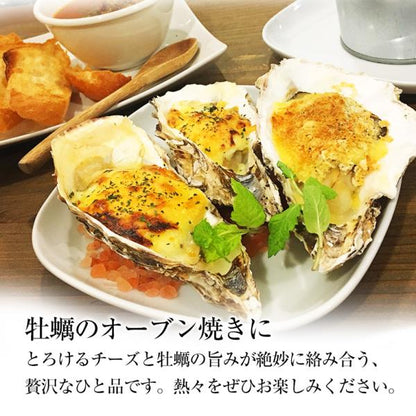 海鮮バーベキュー セット 2種 合計約2kg BBQ 冷凍 【海鮮/バーベキュー/キャンプ/海鮮焼き/鉄板焼き/食材/魚/貝/海産物/鍋/海鮮鍋セット/海鮮セット/寄せ鍋/ホームパーティー/お取り寄せ】 【かき/カキ/牡蠣/ほたて/ホタテ/帆立/殻付き/牡蠣/カキ/カンカン焼き】