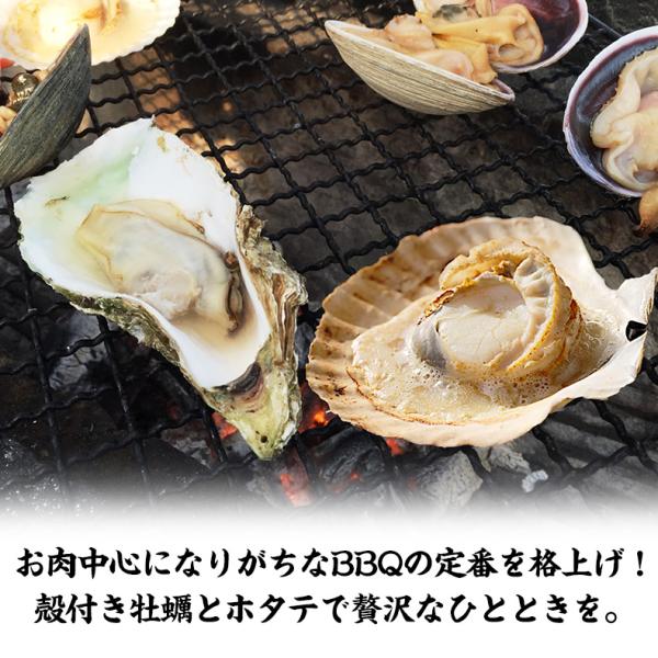 海鮮バーベキュー セット 2種 合計約2kg BBQ 冷凍 【海鮮/バーベキュー/キャンプ/海鮮焼き/鉄板焼き/食材/魚/貝/海産物/鍋/海鮮鍋セット/海鮮セット/寄せ鍋/ホームパーティー/お取り寄せ】 【かき/カキ/牡蠣/ほたて/ホタテ/帆立/殻付き/牡蠣/カキ/カンカン焼き】