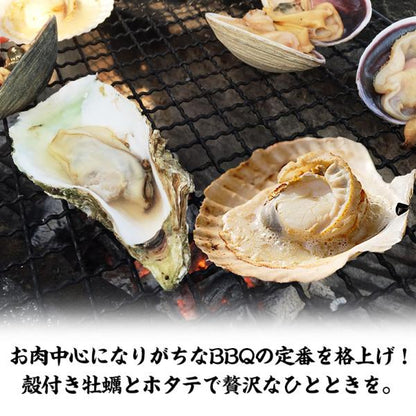 海鮮バーベキュー セット 2種 合計約2kg BBQ 冷凍 【海鮮/バーベキュー/キャンプ/海鮮焼き/鉄板焼き/食材/魚/貝/海産物/鍋/海鮮鍋セット/海鮮セット/寄せ鍋/ホームパーティー/お取り寄せ】 【かき/カキ/牡蠣/ほたて/ホタテ/帆立/殻付き/牡蠣/カキ/カンカン焼き】