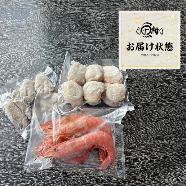 海鮮バーベキュー セット 3種 15品 約3人前 BBQ 冷凍 【海鮮/バーベキュー/キャンプ/海鮮焼き/鉄板焼き/食材/魚/海産物/鍋/海鮮鍋セット/海鮮セット/寄せ鍋/ホームパーティー/お取り寄せ】 【赤えび/エビ/海老/かき/いか/牡蠣/カキ/ボイルほたて/ホタテ/帆立】