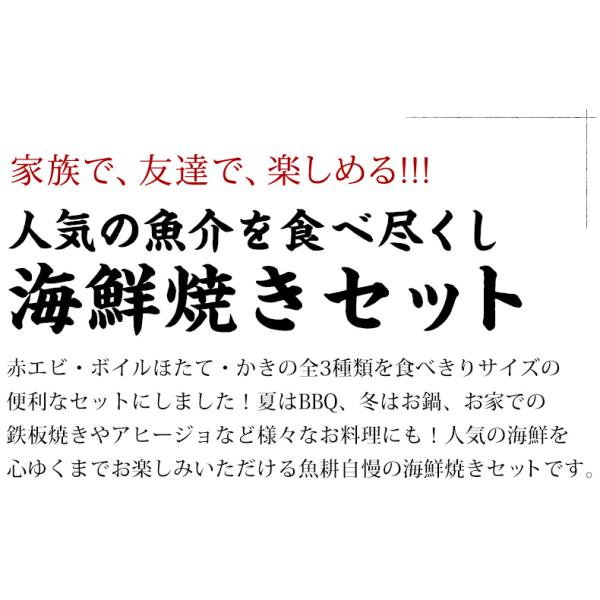 海鮮バーベキュー セット 3種 15品 約3人前 BBQ 冷凍 【海鮮/バーベキュー/キャンプ/海鮮焼き/鉄板焼き/食材/魚/海産物/鍋/海鮮鍋セット/海鮮セット/寄せ鍋/ホームパーティー/お取り寄せ】 【赤えび/エビ/海老/かき/いか/牡蠣/カキ/ボイルほたて/ホタテ/帆立】