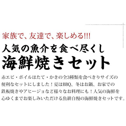 海鮮バーベキュー セット 3種 15品 約3人前 BBQ 冷凍 【海鮮/バーベキュー/キャンプ/海鮮焼き/鉄板焼き/食材/魚/海産物/鍋/海鮮鍋セット/海鮮セット/寄せ鍋/ホームパーティー/お取り寄せ】 【赤えび/エビ/海老/かき/いか/牡蠣/カキ/ボイルほたて/ホタテ/帆立】