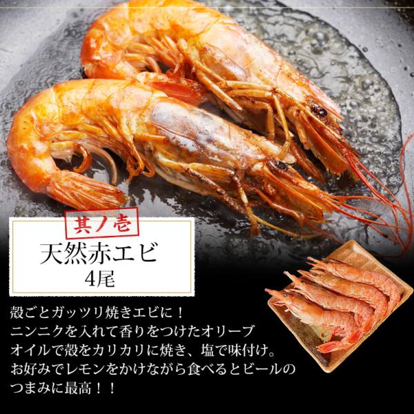 海鮮バーベキュー セット 3種 15品 約3人前 BBQ 冷凍 【海鮮/バーベキュー/キャンプ/海鮮焼き/鉄板焼き/食材/魚/海産物/鍋/海鮮鍋セット/海鮮セット/寄せ鍋/ホームパーティー/お取り寄せ】 【赤えび/エビ/海老/かき/いか/牡蠣/カキ/ボイルほたて/ホタテ/帆立】