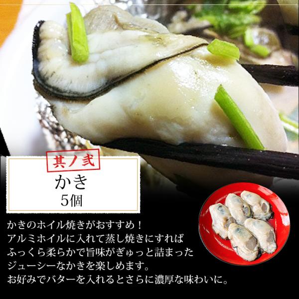 海鮮バーベキュー セット 3種 15品 約3人前 BBQ 冷凍 【海鮮/バーベキュー/キャンプ/海鮮焼き/鉄板焼き/食材/魚/海産物/鍋/海鮮鍋セット/海鮮セット/寄せ鍋/ホームパーティー/お取り寄せ】 【赤えび/エビ/海老/かき/いか/牡蠣/カキ/ボイルほたて/ホタテ/帆立】