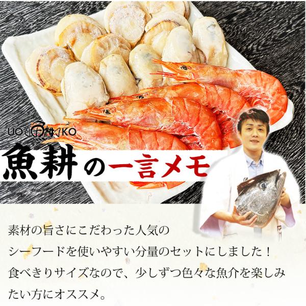 海鮮バーベキュー セット 3種 15品 約3人前 BBQ 冷凍 【海鮮/バーベキュー/キャンプ/海鮮焼き/鉄板焼き/食材/魚/海産物/鍋/海鮮鍋セット/海鮮セット/寄せ鍋/ホームパーティー/お取り寄せ】 【赤えび/エビ/海老/かき/いか/牡蠣/カキ/ボイルほたて/ホタテ/帆立】