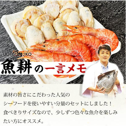 海鮮バーベキュー セット 3種 15品 約3人前 BBQ 冷凍 【海鮮/バーベキュー/キャンプ/海鮮焼き/鉄板焼き/食材/魚/海産物/鍋/海鮮鍋セット/海鮮セット/寄せ鍋/ホームパーティー/お取り寄せ】 【赤えび/エビ/海老/かき/いか/牡蠣/カキ/ボイルほたて/ホタテ/帆立】