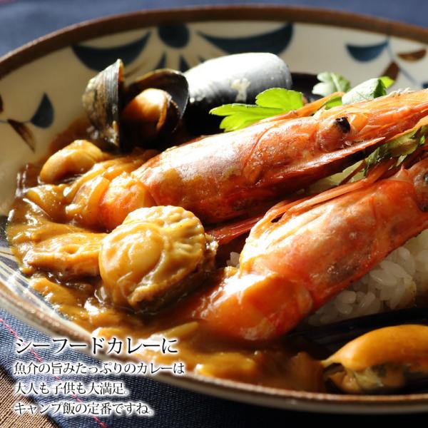 海鮮バーベキュー セット 3種 15品 約3人前 BBQ 冷凍 【海鮮/バーベキュー/キャンプ/海鮮焼き/鉄板焼き/食材/魚/海産物/鍋/海鮮鍋セット/海鮮セット/寄せ鍋/ホームパーティー/お取り寄せ】 【赤えび/エビ/海老/かき/いか/牡蠣/カキ/ボイルほたて/ホタテ/帆立】