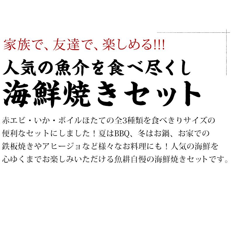 海鮮バーベキュー セット 3種 15品 約3人前 BBQ 冷凍 【海鮮/バーベキュー/キャンプ/海鮮焼き/鉄板焼き/食材/魚/海産物/鍋/海鮮鍋セット/海鮮セット/寄せ鍋/ホームパーティー/お取り寄せ】 【赤えび/エビ/海老/かき/いか/烏賊/イカ/ボイルほたて/ホタテ/帆立】