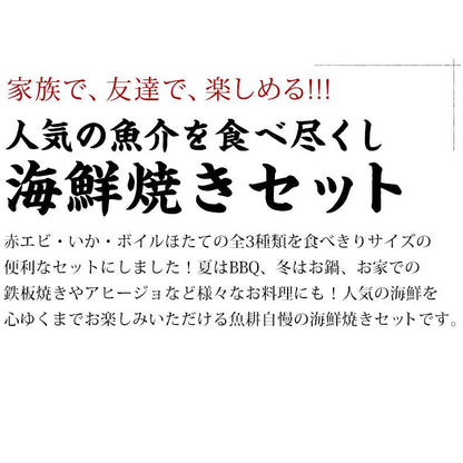 海鮮バーベキュー セット 3種 15品 約3人前 BBQ 冷凍 【海鮮/バーベキュー/キャンプ/海鮮焼き/鉄板焼き/食材/魚/海産物/鍋/海鮮鍋セット/海鮮セット/寄せ鍋/ホームパーティー/お取り寄せ】 【赤えび/エビ/海老/かき/いか/烏賊/イカ/ボイルほたて/ホタテ/帆立】