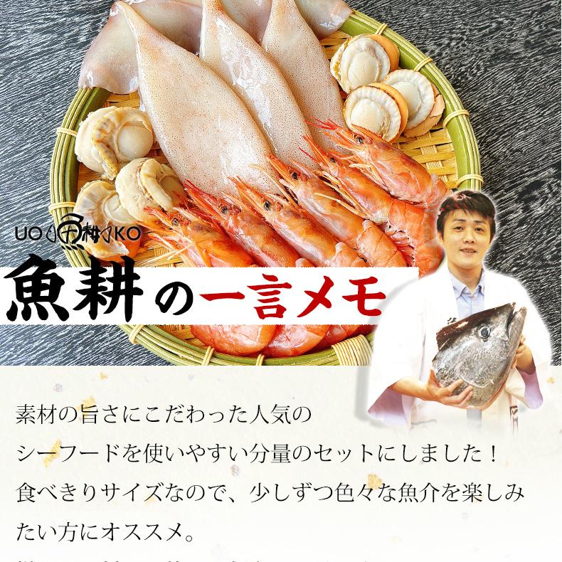 海鮮バーベキュー セット 3種 15品 約3人前 BBQ 冷凍 【海鮮/バーベキュー/キャンプ/海鮮焼き/鉄板焼き/食材/魚/海産物/鍋/海鮮鍋セット/海鮮セット/寄せ鍋/ホームパーティー/お取り寄せ】 【赤えび/エビ/海老/かき/いか/烏賊/イカ/ボイルほたて/ホタテ/帆立】