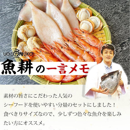 海鮮バーベキュー セット 3種 15品 約3人前 BBQ 冷凍 【海鮮/バーベキュー/キャンプ/海鮮焼き/鉄板焼き/食材/魚/海産物/鍋/海鮮鍋セット/海鮮セット/寄せ鍋/ホームパーティー/お取り寄せ】 【赤えび/エビ/海老/かき/いか/烏賊/イカ/ボイルほたて/ホタテ/帆立】