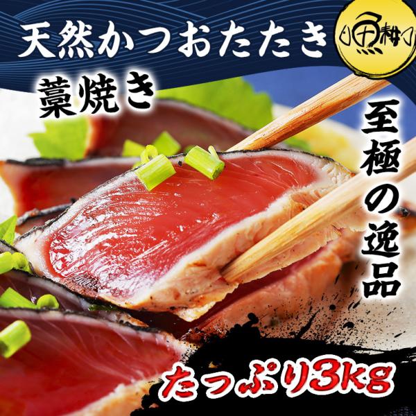カツオ 楽天市場】戻り鰹 かつお 鰹 3本 600g 冷凍 送料無料 枕崎 名産