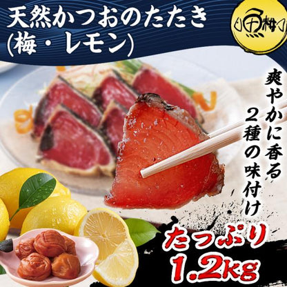 天然 カツオのたたき 1.2kg 味付き  太平洋産 瀬戸内塩レモン味 梅昆布味 かつおのたたき【かつお/カツオ/鰹/タタキ/鰹たたき/刺身/れもん/藻塩/こんぶ/ギフト/プレゼント/贈り物/贈答/お取り寄せ/グルメ/食品/海鮮】