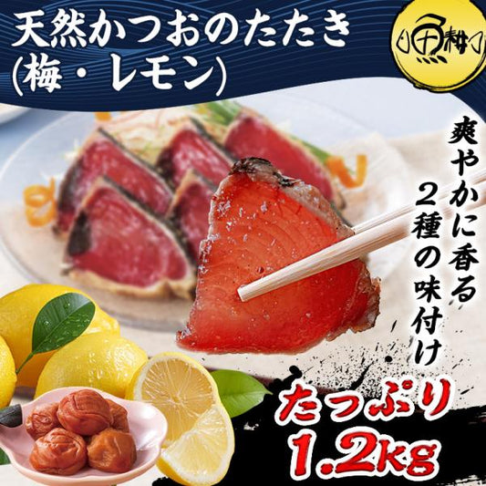 天然 カツオのたたき 1.2kg 味付き  太平洋産 瀬戸内塩レモン味 梅昆布味 かつおのたたき【かつお/カツオ/鰹/タタキ/鰹たたき/刺身/れもん/藻塩/こんぶ/ギフト/プレゼント/贈り物/贈答/お取り寄せ/グルメ/食品/海鮮】